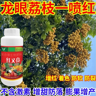 龙眼荔枝一喷红膨大增甜不黄叶不掉果靓果微量元素果树蔬菜通用