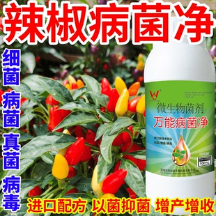 辣椒病菌净蔬菜花卉稻瘟病病毒白粉病灰霉病锈病病害清一喷清