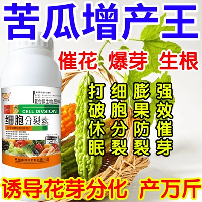 苦瓜增产王打破休眠加速细胞分裂膨果防裂强效催芽果树蔬菜叶面肥