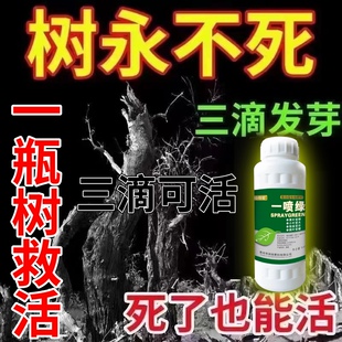 一瓶树救活【死树当天活】植物营养液大树移栽活液烂根一喷复活液