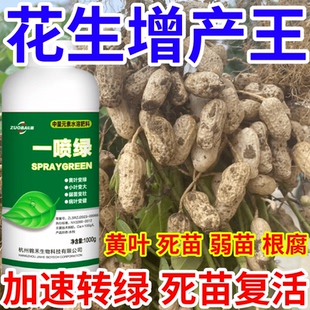 花生增产王黄叶死苗烂根防根腐蔬菜果树绿植花卉生根壮苗叶面肥料