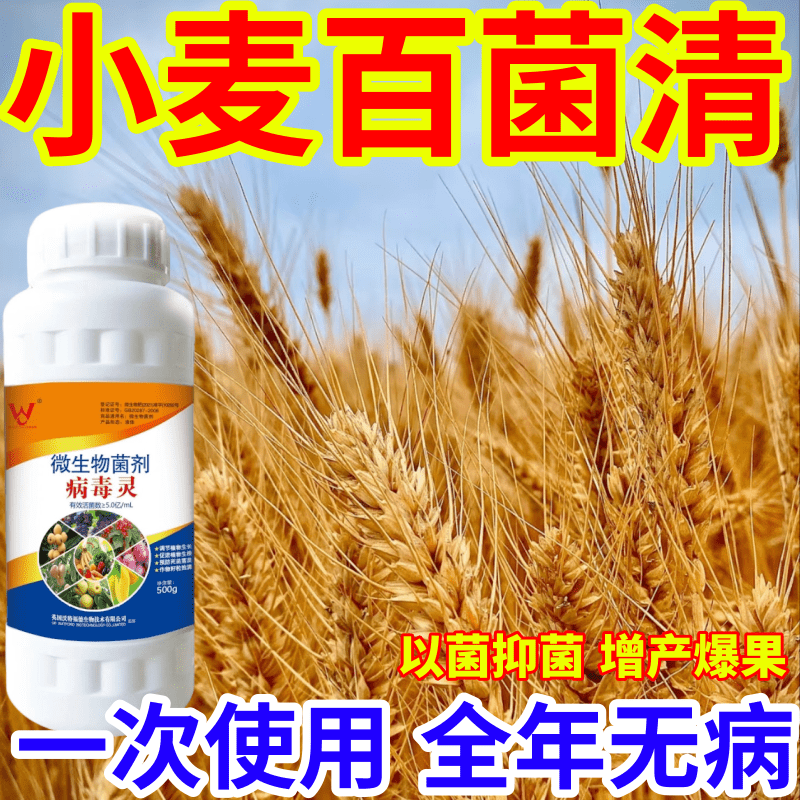 小麦百菌清果树蔬菜花卉通用微生物菌剂叶面肥通治298种病毒病菌 - 实物图