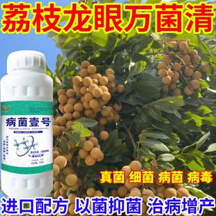 荔枝龙眼万菌清壹号升级款微生物菌剂肥料果树蔬菜苗木花卉通用型