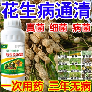 花生病通清黑星病立枯病疫病锈病果树蔬菜花卉生根壮苗增产杀菌剂