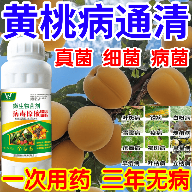 黄桃病通清黑星病立枯病疫病锈病果树蔬菜花卉生根壮苗增产杀菌剂