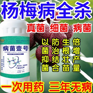 杨梅病全杀以菌抑菌病菌壹号生根绿叶生物防治果树蔬菜花卉杀菌剂