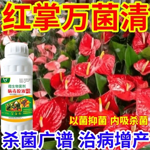 红掌万菌清防治细菌病锈病炭疽病叶斑病黄斑病杀菌抗病通用菌立净