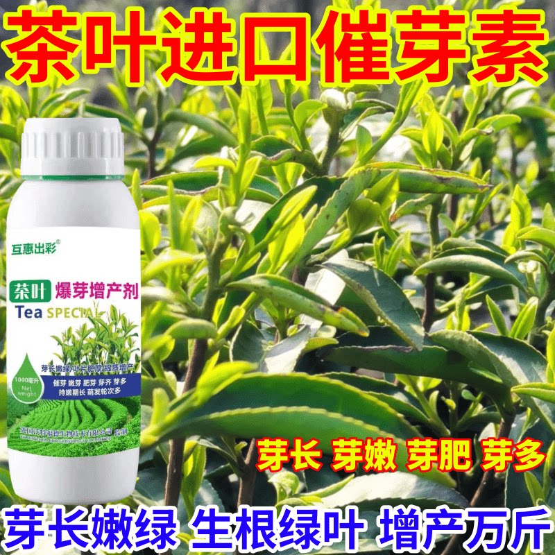 茶叶进口催芽素专用肥茶叶催芽剂芽长嫩绿抗寒提前出芽芽多壮