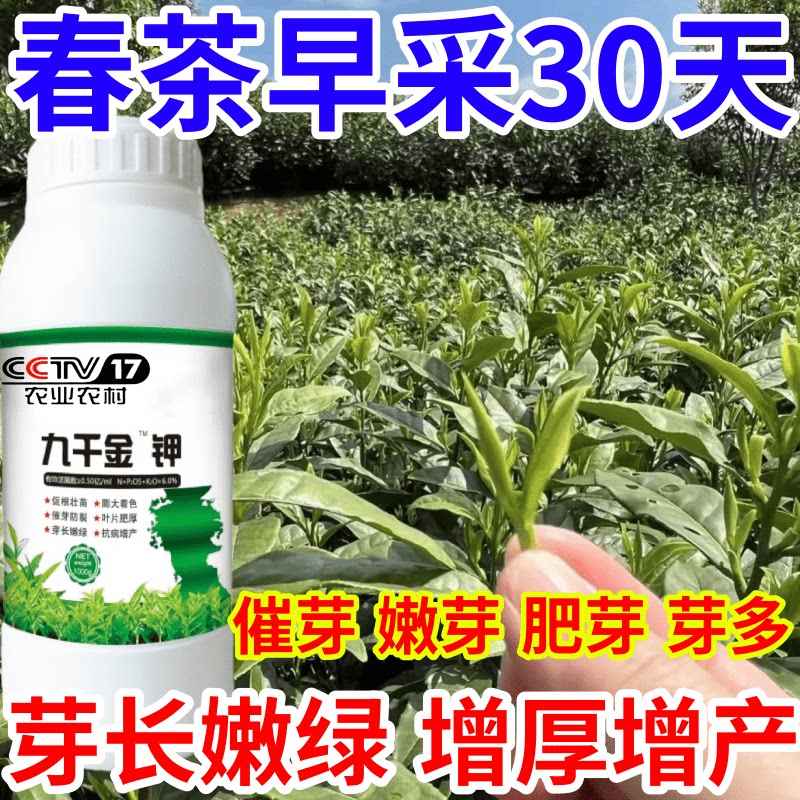 春茶早采30天树多芽嫩芽催芽芽多采不尽芽多芽厚嫩茶树专用叶面肥