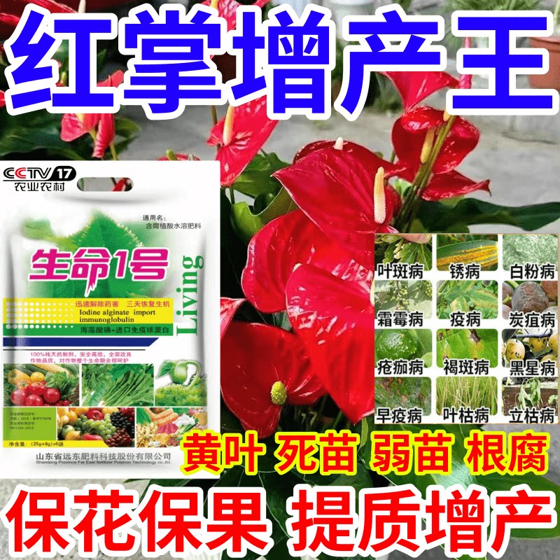 红掌增产王黄叶死苗僵苗烂根猝倒果树蔬菜花卉水溶叶面肥有机肥料