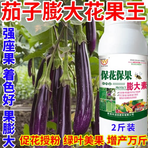 茄子膨大花果王增产叶面肥增甜上色拉长果实膨大剂果树蔬菜叶面肥
