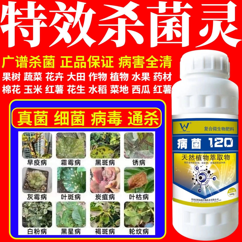 特效杀菌灵霉病稻瘟病炭疽叶斑病白粉病果树蔬菜花卉微生物杀菌剂