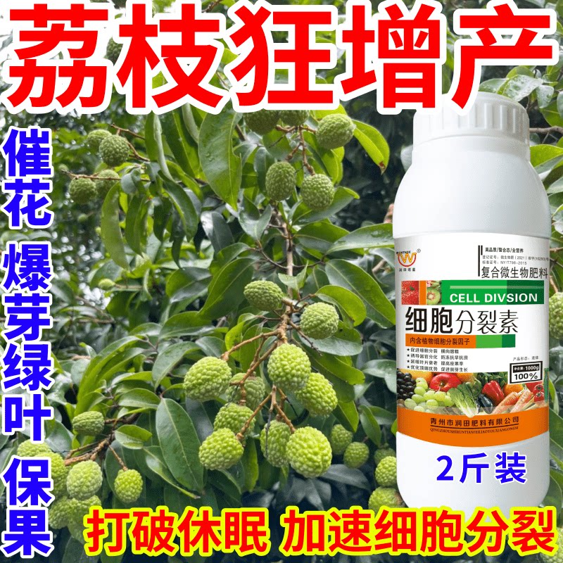 荔枝狂增产果树叶面肥爆芽素促花芽分化增产增收催芽剂细胞分裂素