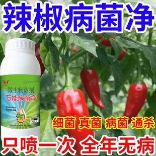 辣椒病菌净果树蔬菜花卉稻瘟病病毒白粉病灰霉病锈病病害清一喷清