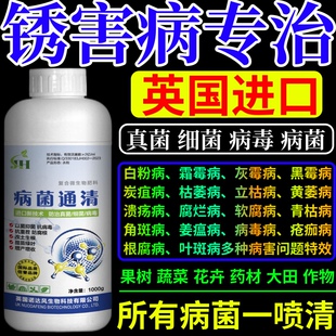 锈害病专治杀菌剂通用型真菌细菌炭疽病杀菌蔬菜专用病毒果树通用