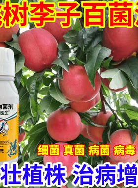 桃树李子百菌清菌病微生物菌剂农田医生果树蔬菜花卉霜霉病炭疽病