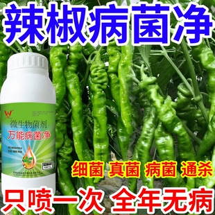 辣椒病菌净果树蔬菜花卉稻瘟病病毒白粉病灰霉病锈病病害清一喷清