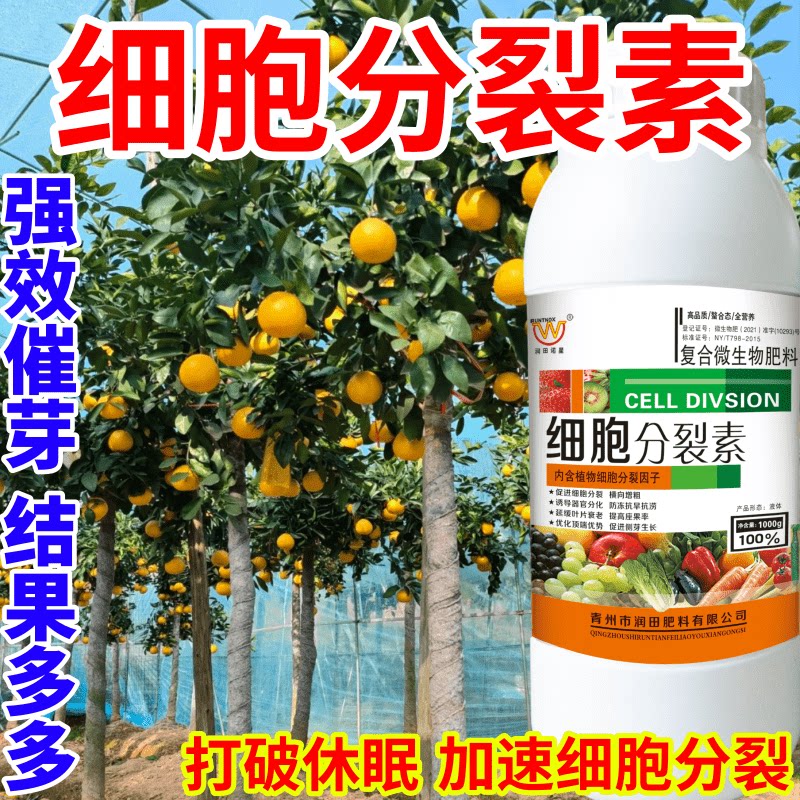 细胞分裂素口植物营养液催芽促芽生长激素促生长保花保果叶面肥