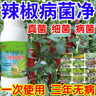 辣椒病菌净白粉病灰霉病锈病绿植花卉果树蔬菜病害清一喷清杀菌剂