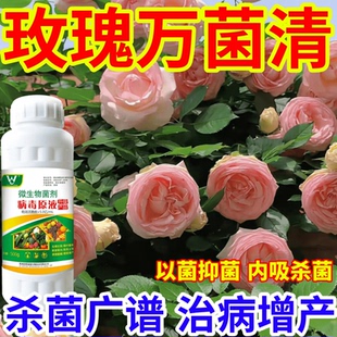 玫瑰万菌清防治细菌病锈病炭疽病叶斑病黄斑病杀菌抗病通用菌立净