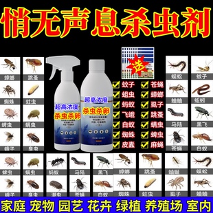 悄无声息杀虫剂强效通杀地上地下卫生农药公共场所杀虫杀卵宠物虫