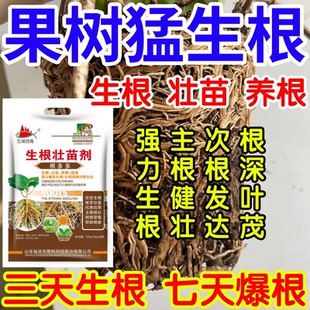 果树猛生根根深叶茂主根健株次根发达果树蔬菜花卉爆根生根壮苗剂
