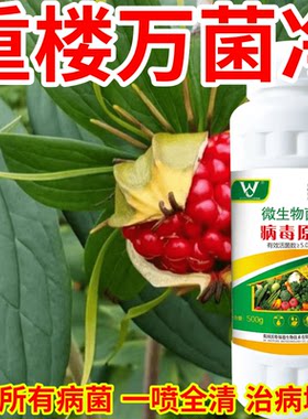 重楼万菌净肥病毒病专用蔬菜瓜果花叶病小叶病卷叶病萎缩病绿叶