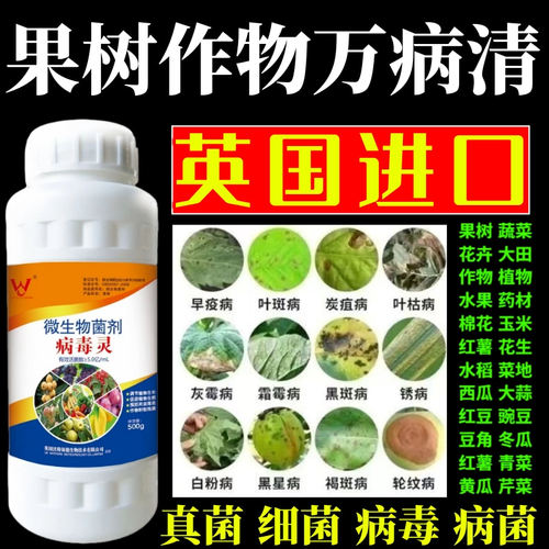 果树作物万病清果树蔬菜花卉杀菌剂锈病炭疽病叶斑病霜霉病叶斑病