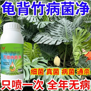 龟背竹病菌净树蔬菜花卉稻瘟病病毒白粉病灰霉病锈病病害清一喷清