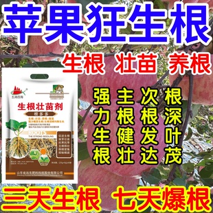 苹果狂生根根深叶茂主根健株次根发达果树蔬菜花卉爆根生根壮苗剂