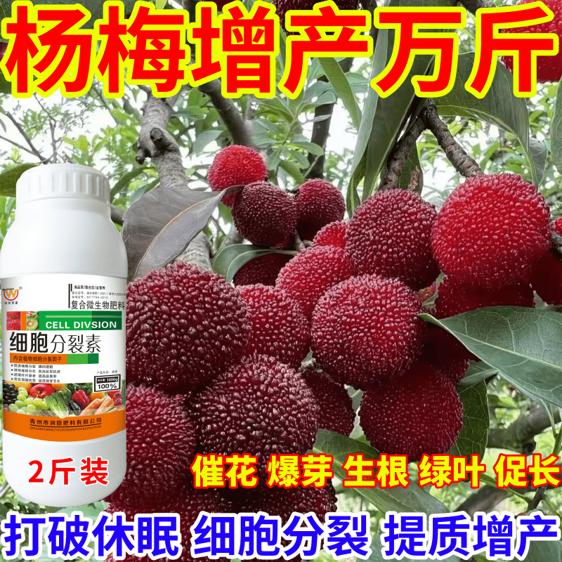 杨梅增产万斤催花芽分化保花保果膨果增产叶面肥瓜果蔬菜农用通用