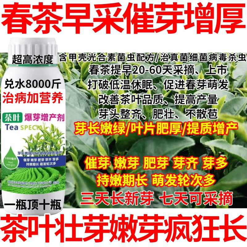 春茶早采催芽增厚催芽剂快速增长茶树发芽增产增收专用叶面肥肥料