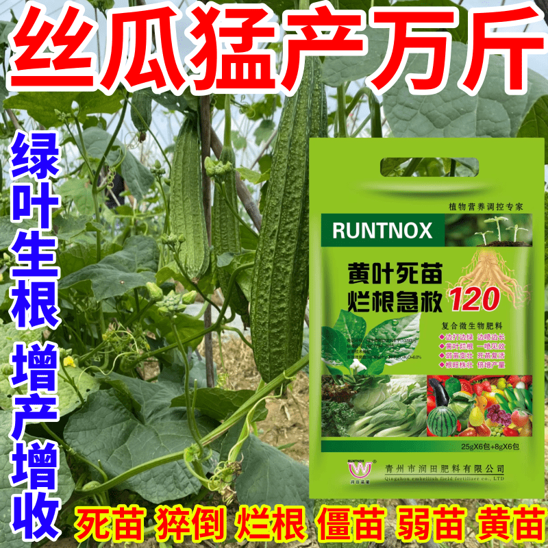 丝瓜猛产万斤烂根急救强力黄叶烂根急救120弱苗变壮治病增产肥料