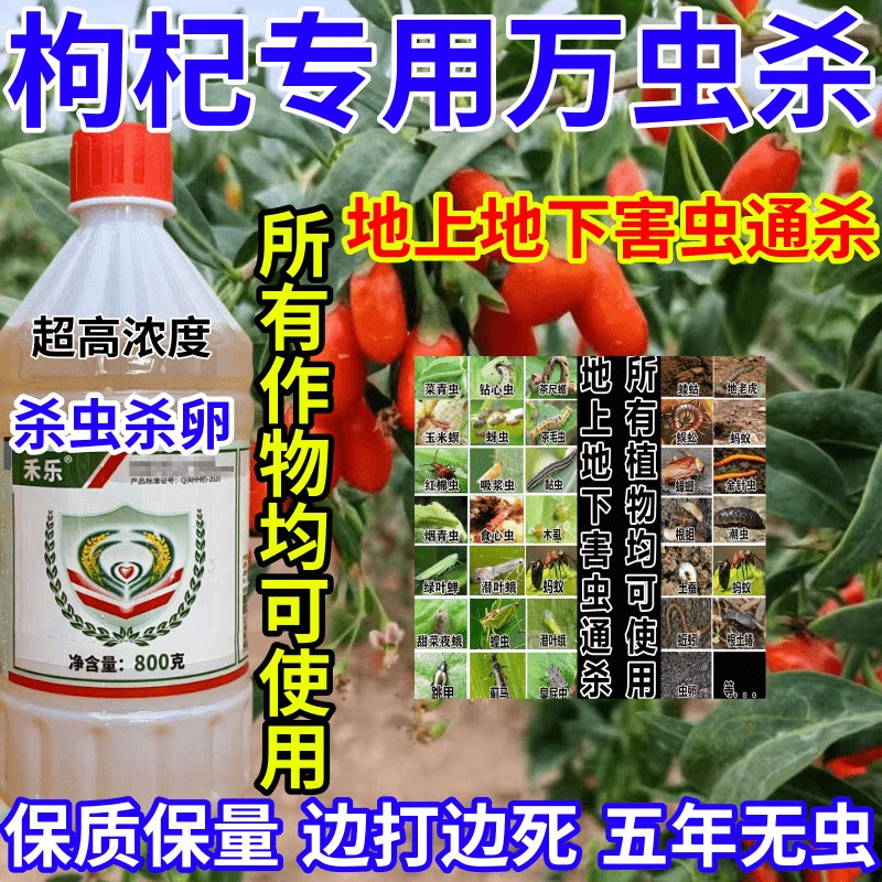 枸杞专用万虫杀通杀杀地上地下万能杀虫剂害虫农药杀虫杀卵杀虫剂