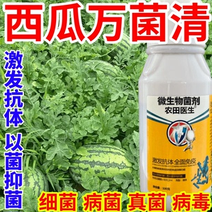 西瓜万菌清疽病轮斑病叶枯病叶斑疫病果蔬花卉水稻死苗烂根猝倒