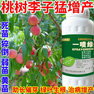 桃树李子猛增产变绿叶蔬菜花卉果树死苗通用烂根黄叶专用叶面肥料