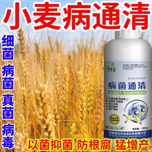 小麦病通清通清蔬菜果树菌全清白粉病农用真菌细菌病毒菌剂锈病