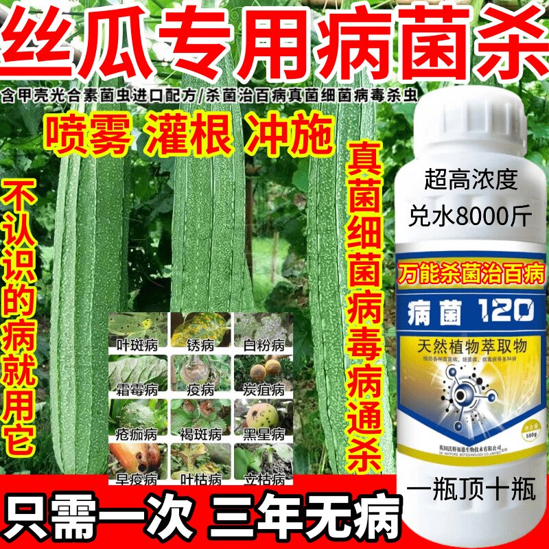 丝瓜通用病菌杀植物病害克星真细菌病毒病进口杀菌剂炭疽病疫病药