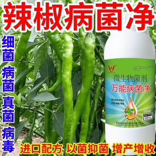 辣椒病菌净蔬菜花卉稻瘟病病毒白粉病灰霉病锈病病害清一喷清
