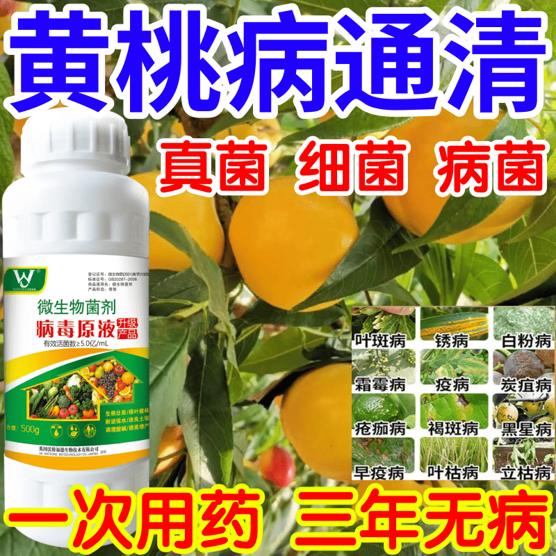 黄桃病通清黑星病立枯病疫病锈病果树蔬菜花卉生根壮苗增产杀菌剂