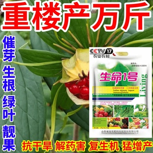 重楼产万斤芽生根绿叶靓果抗干旱复生机作物通用增产增收叶面肥