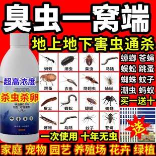 臭虫一窝端家用无味室内强效型驱蚊子灭苍蝇药室内杀虫灭蚊