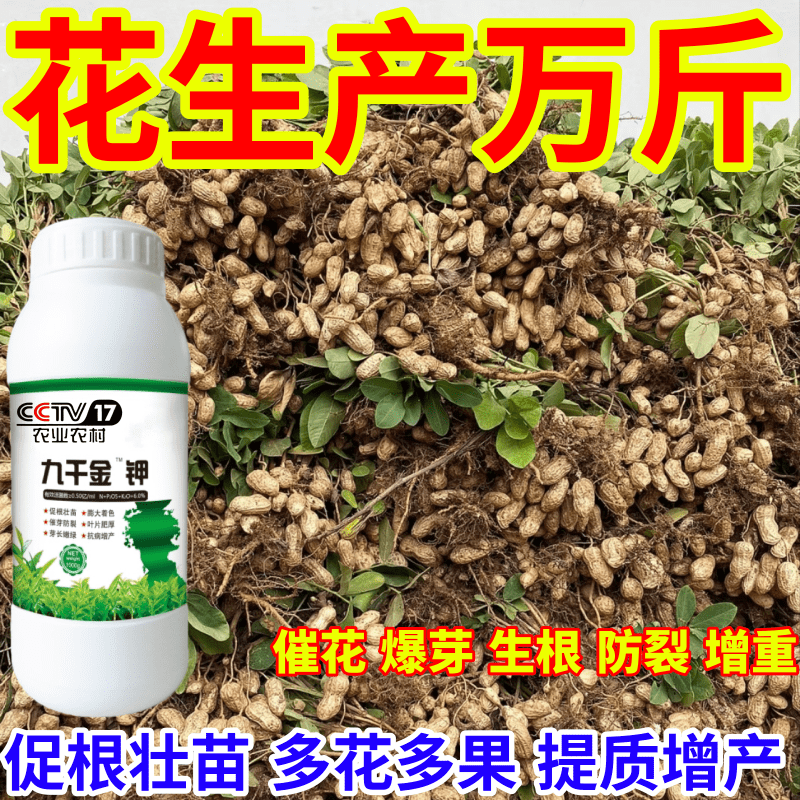 花生产万斤抗寒抗冻保花保果九千金钾催产爆芽增收叶面肥绿叶生根