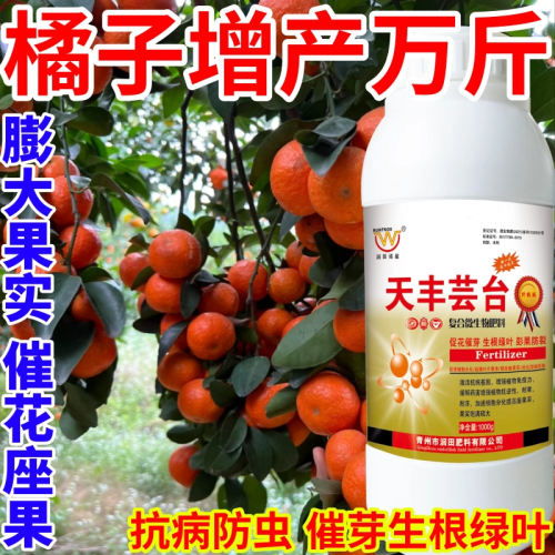 橘子增产万斤芸苔内脂植物生长叶面肥保花果增产壮苗天丰芸苔素