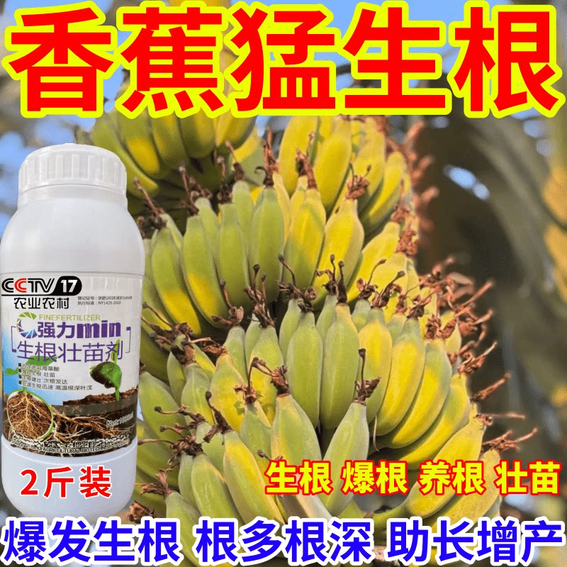 香蕉猛生根根壮苗剂速效生根液大树移植苗木扦插果树蔬菜生根剂