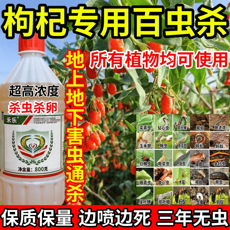 枸杞专用百虫杀蜘蛛地蛆虫食心虫果树蔬菜花卉杀虫杀卵农药杀虫剂