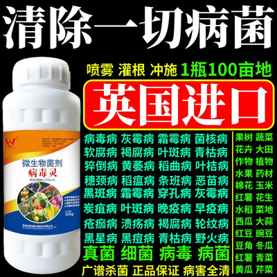 清除一切病菌软腐根腐病叶斑病灰霉病菌核病早疫病微生物菌剂杀菌