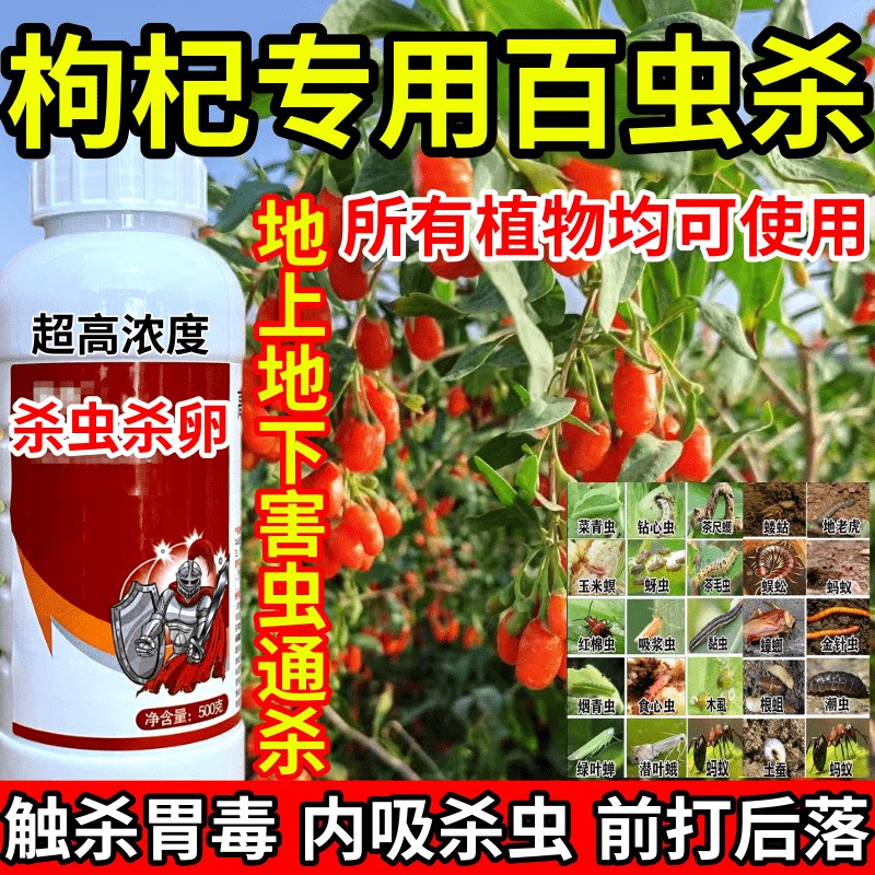枸杞专用百虫杀下害虫通杀果树蔬菜花卉蓟马蚜虫红蜘蛛杀虫剂农药