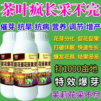 茶叶疯长采不完促花催花座果灵营养液催产肥料蔬菜果树授粉防落素