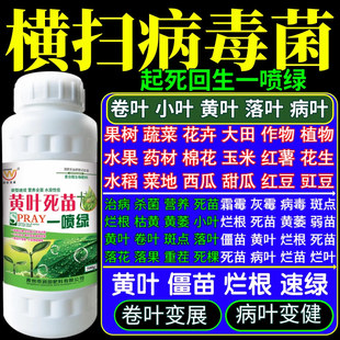 横扫病毒菌苗一喷绿叶面肥蔬菜花卉果树植物叶枯黄叶死苗烂根专治